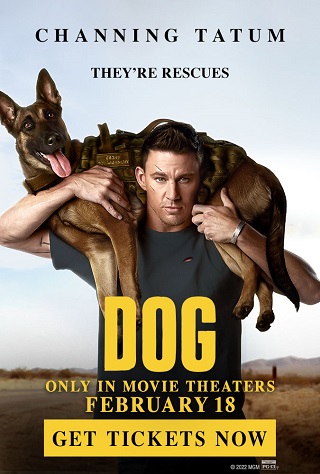 Dog (2022) เพื่อนกันพันธุ์ห้าว