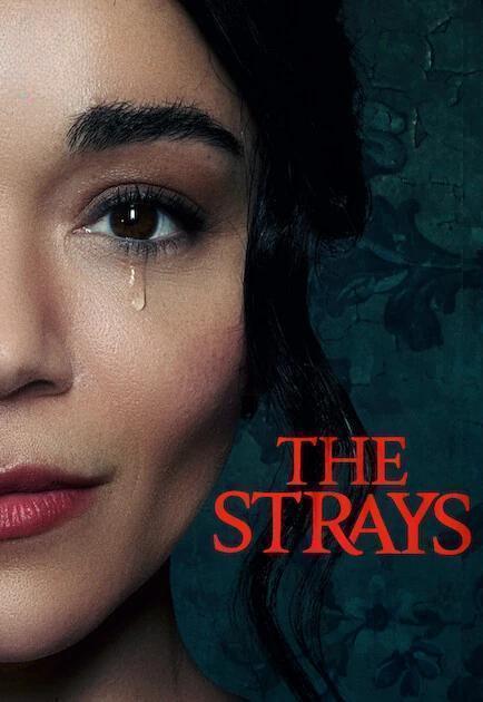The Strays (2023) คนหลงทาง