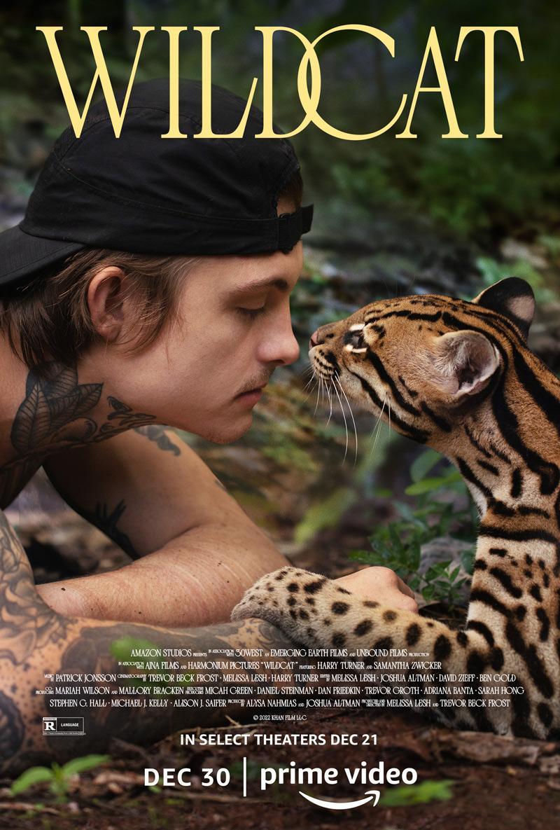 Wildcat (2022) สารคดีแมวป่า